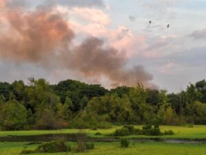 Foto Nota ciudad -  incendios - cuidado ambiental -