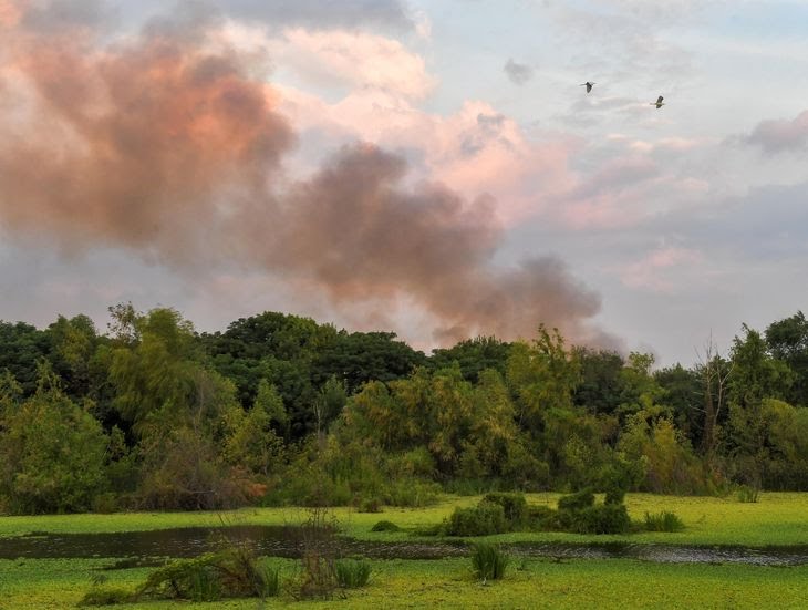 Foto Nota ciudad -  incendios - cuidado ambiental -